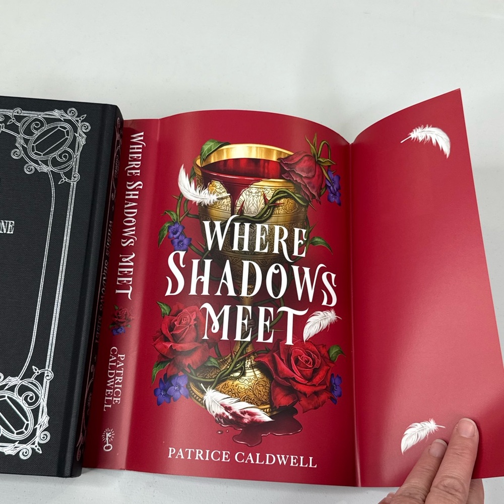 WHERE SHADOWS MEET (By Patrice Caldwell) Fairyloot Edition Hardcover - Picture 8 of 12